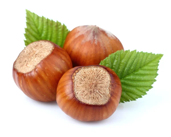 Hazelnuts with leaves — Stock Photo, Image