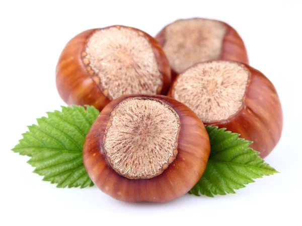 Torkade hasselnötter med blad — Stockfoto