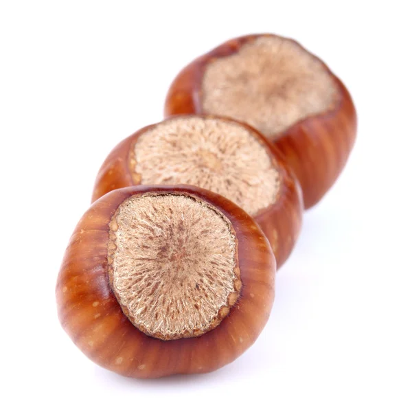 Dried hazelnuts Stock Picture