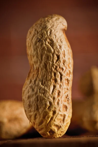 Peanut macro on blurry background — Stock Photo, Image