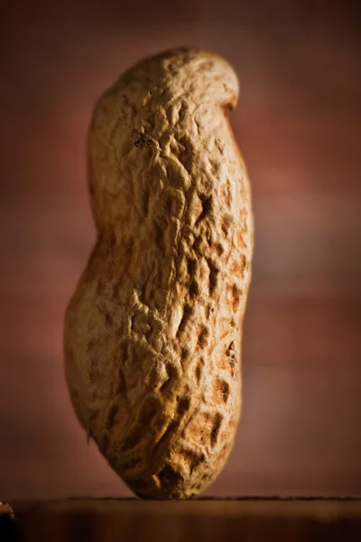 Peanut macro — Stock Photo, Image