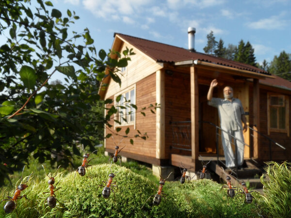 Human and ants welcome good morning