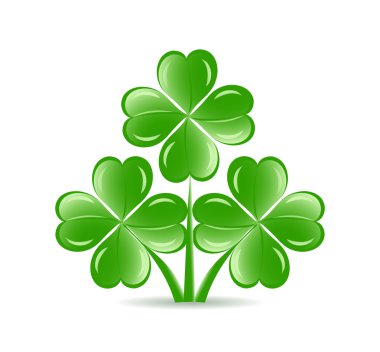 Vector illustration of the three shamrocks with four lucky leav clipart