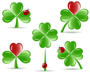 Vector illustration of set of shamrocks with four lucky leaves clipart