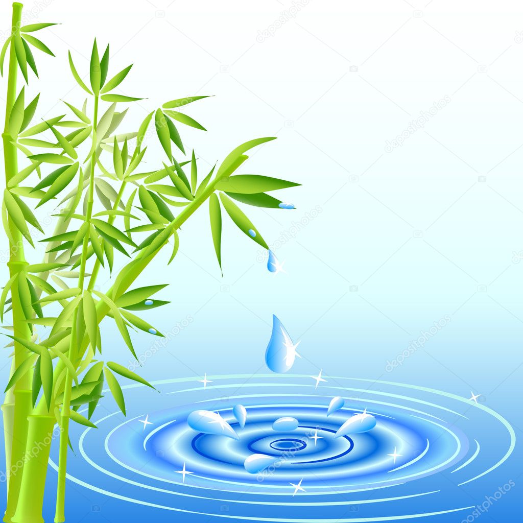 Vector illustration of a water drops falling from the bamboo lea