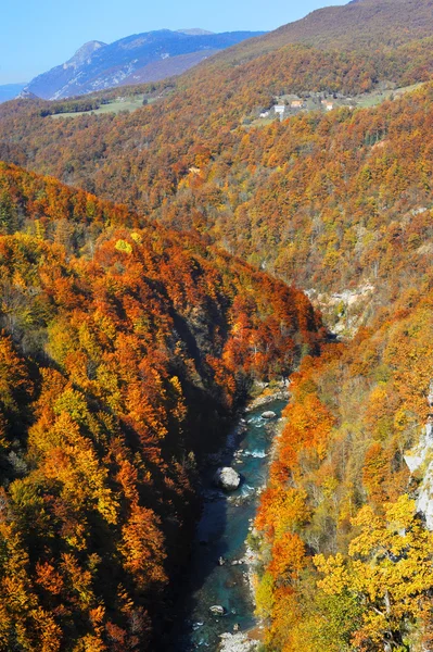 Ущелье реки Тара — стоковое фото
