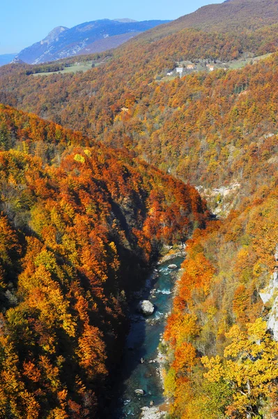 Tara říční rokle — Stock fotografie