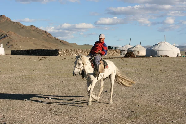蒙古男孩赛车上一匹马 — 图库照片