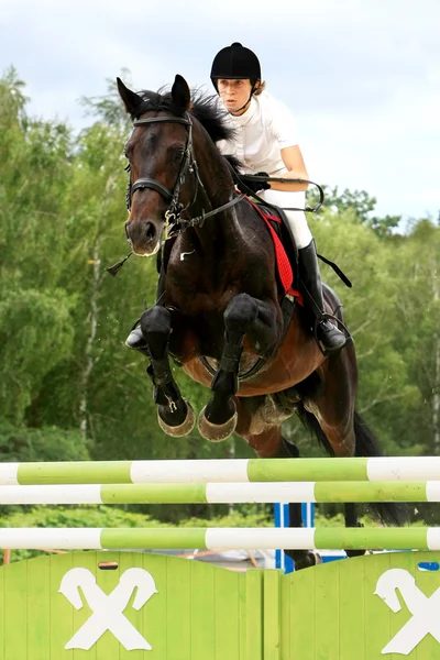 Competencia hípica — Foto de Stock