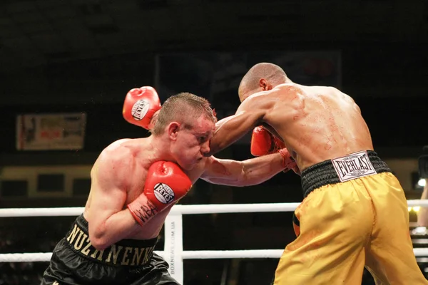 ボクシング — ストック写真