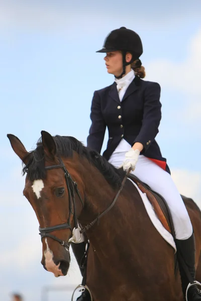 Open Equestrian Cup — Stock Photo, Image