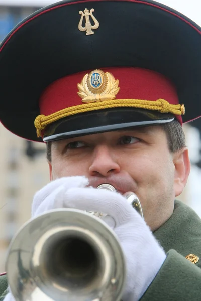 Военный музыкант — стоковое фото