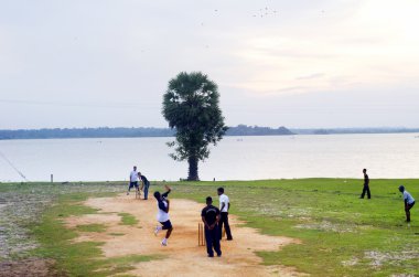 Cricket in Sri Lanka clipart
