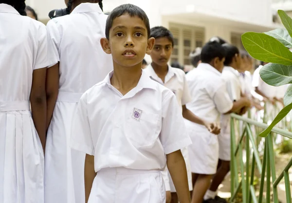 Sri Lankan pupil — Stock Photo, Image