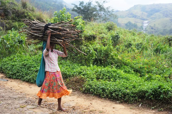 Fille avec bois de chauffage — Photo