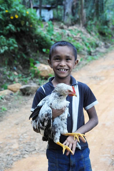 Boy with chicken — Stock Photo, Image