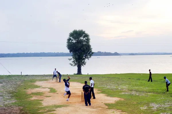 Крикет в Шрі-Ланці — стокове фото