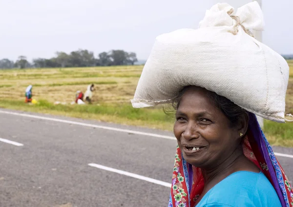 Sri Lankan woman — Stock Photo, Image