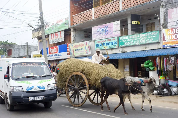 Шрі-Ланки трафіку — стокове фото