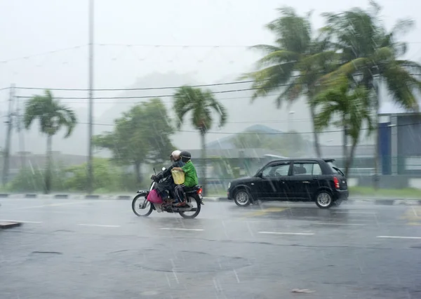 stock image Rainfall