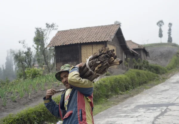 Индонезийский человек — стоковое фото