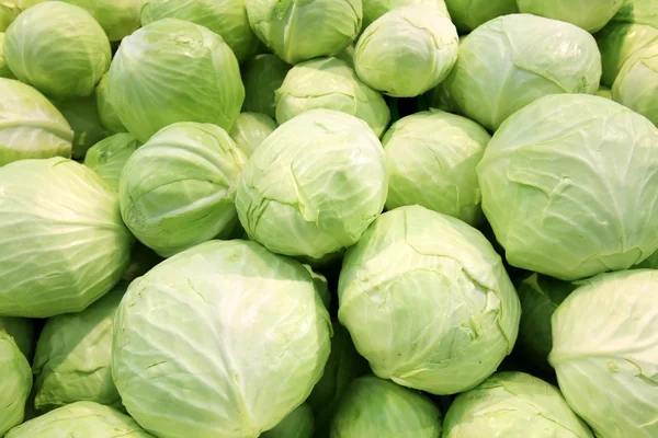 stock image Fresh cabbage