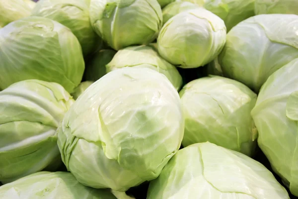 Cabbage 1 — Stock Photo, Image