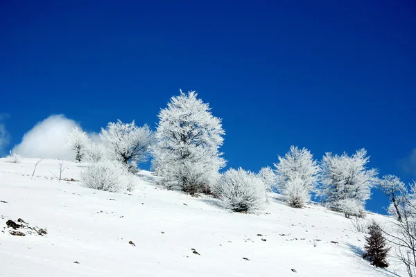 Paisaje invierno —  Fotos de Stock