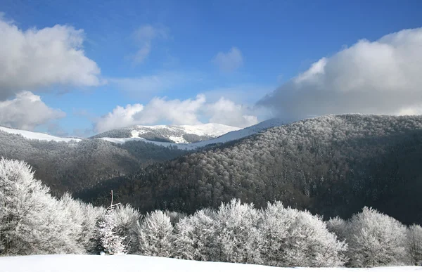 Paesaggio invernale — Foto Stock