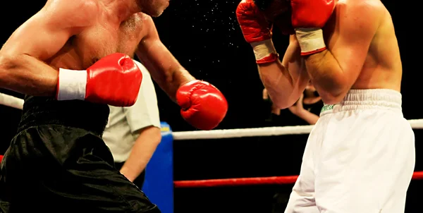 ボクシング — ストック写真
