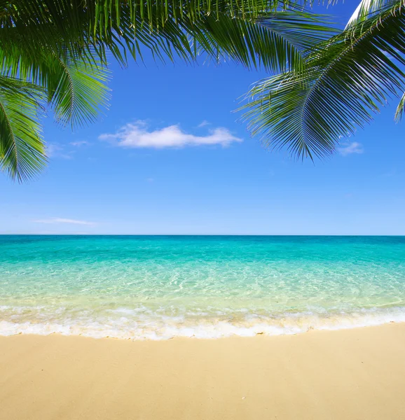 Playa y mar tropical Imagen De Stock