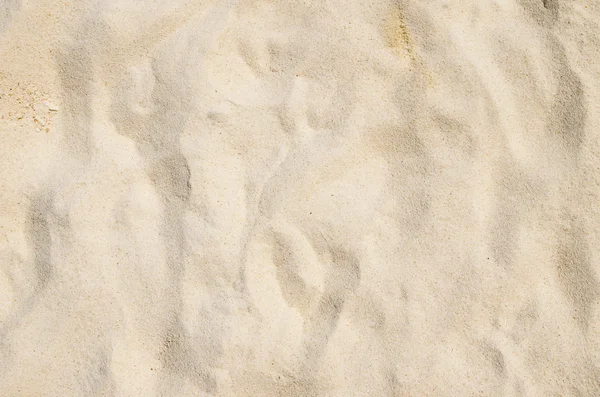 サンゴ砂 — ストック写真