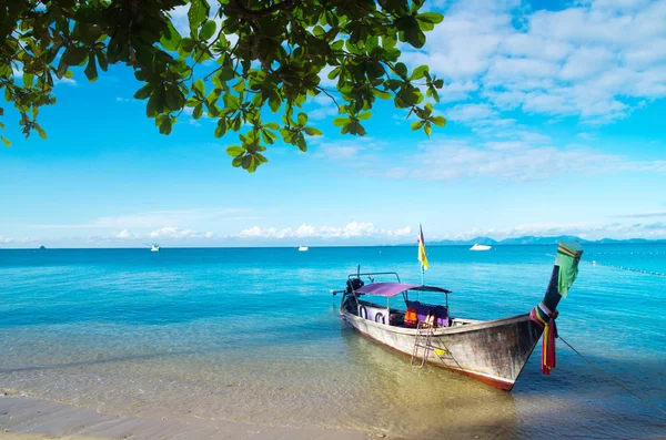 stock image Boats