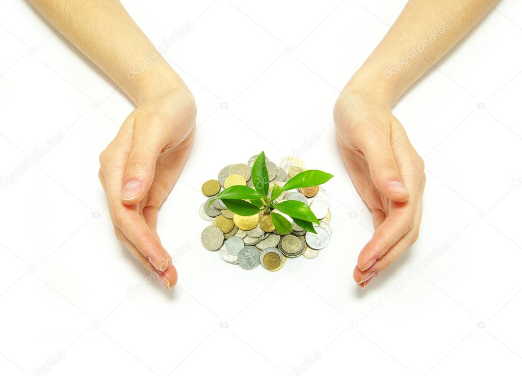 Plant in coins