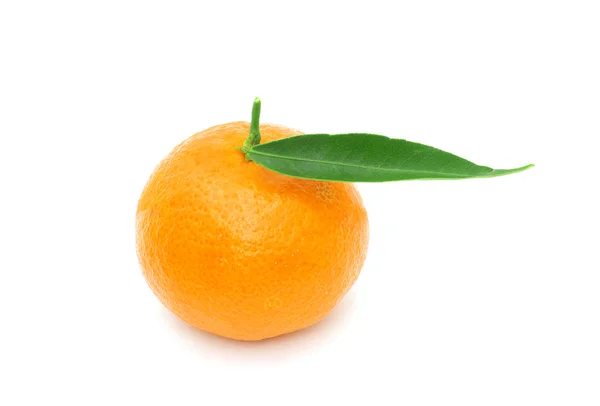 stock image Tangerine