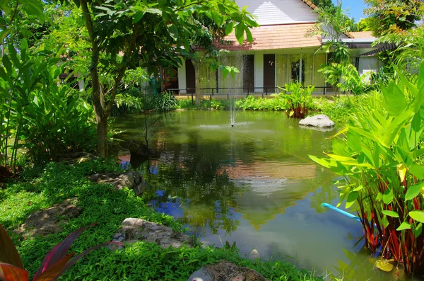 Jardín con un estanque — Foto de Stock