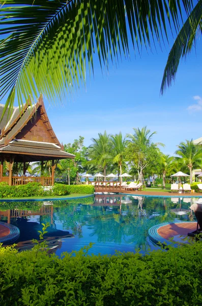 Zwembad met kokosnoot boom — Stockfoto