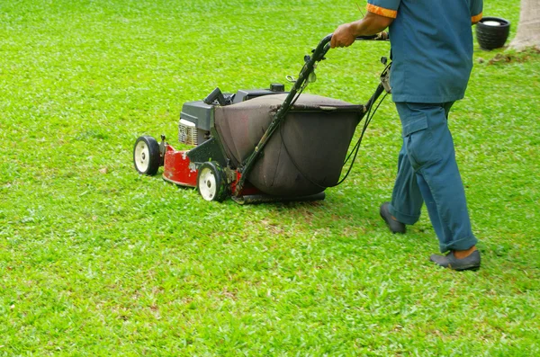 芝生を刈る — ストック写真
