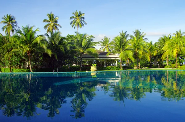 Tropisch zwembad — Stockfoto