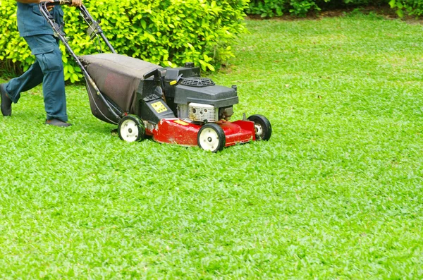 Mowing the lawn Royalty Free Stock Images