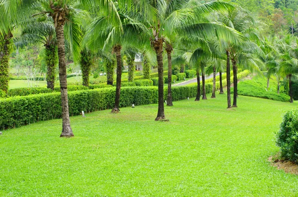 Stock image Garden