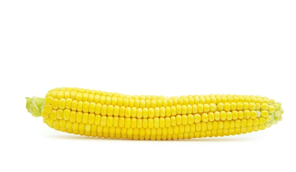 Kukuřice — Stock fotografie
