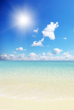 Beach and tropical sea clipart