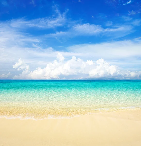 stock image Tropical sea