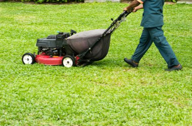 Mowing the lawn clipart