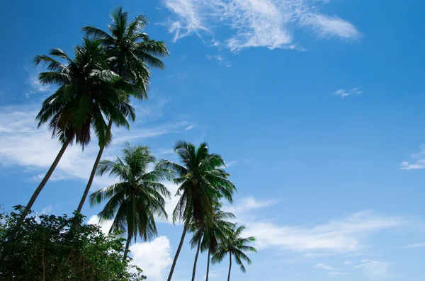 Praia tropical — Fotografia de Stock