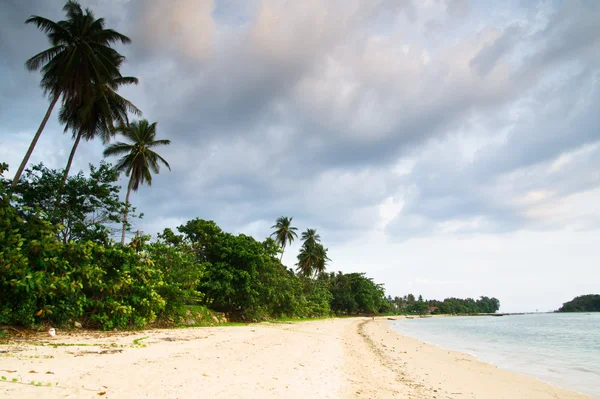 stock image Tropical beach