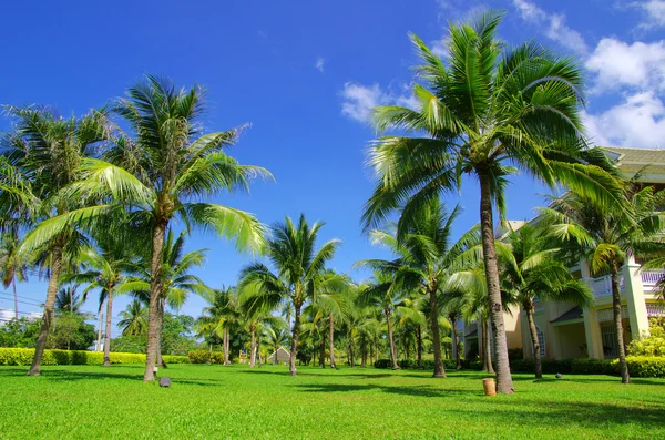 Garden — Stock Photo, Image