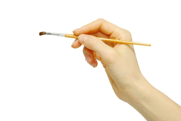 stock image Brush in a hand