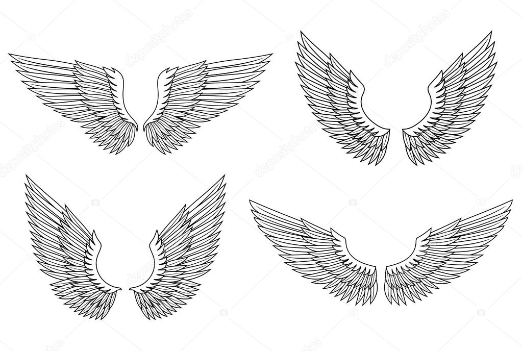 Set of wings